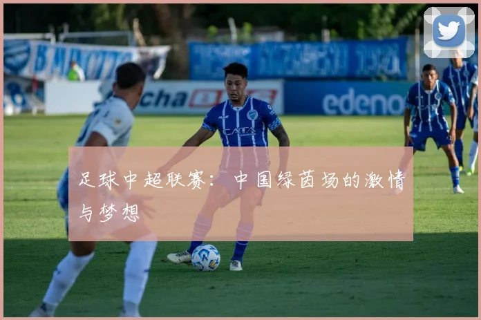足球中超联赛：中国绿茵场的激情与梦想