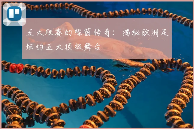 五大联赛的绿茵传奇：揭秘欧洲足坛的五大顶级舞台