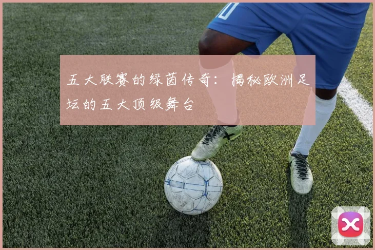 五大联赛的绿茵传奇：揭秘欧洲足坛的五大顶级舞台